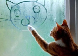 cat-window-art